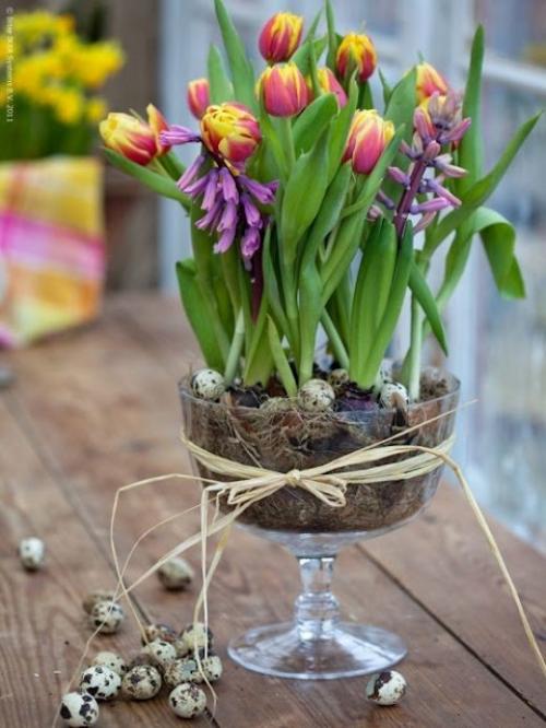 rustikale frühlingsdeko wachteleier tulpen
