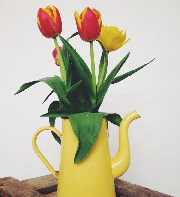 Tischdeko mit Blumen fruehling-tulpen-gelbe-kanne