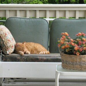 veranda sofa vintage polster graugruen weiss holz beistelltisch blumen korb