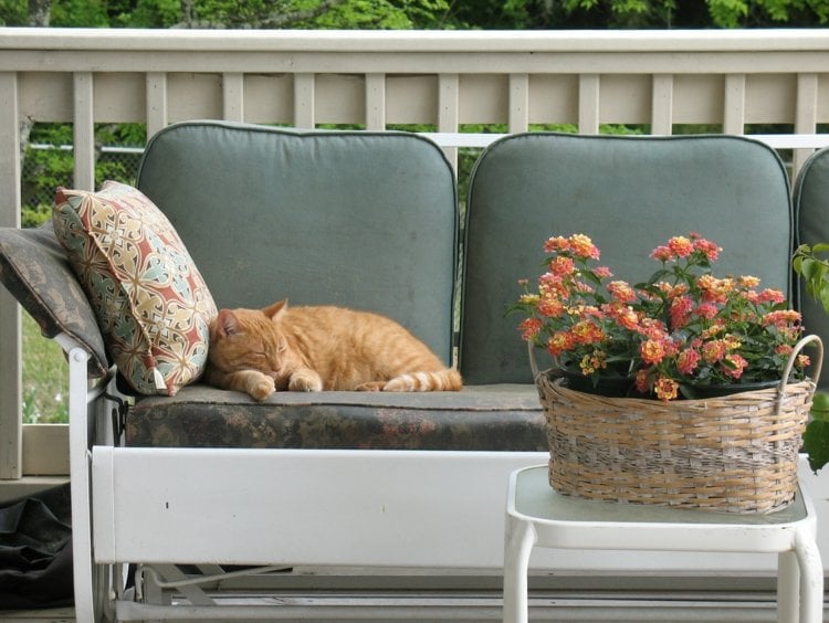 veranda sofa vintage polster graugruen weiss holz beistelltisch blumen korb