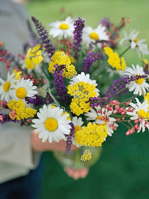 Blumenstrauß arrangieren Kamille Ideen für den Garten