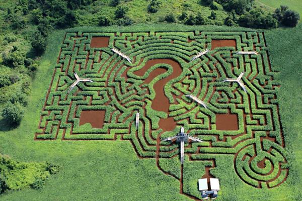 Davis Mega maislabyrinth brücken spiele