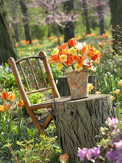 Garten gestalten Orange Blumen Tisch-Baumstrunk