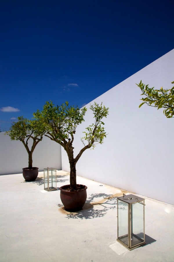 Luxushotel Dekoration Dach Terrasse-Blumenkästen exotische Pflanzen