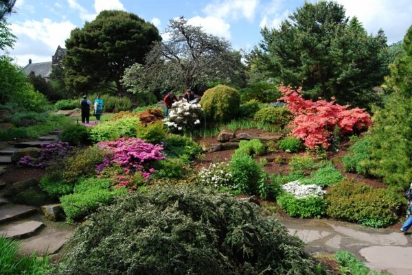 Pflanzen Arten botanischer Garten England