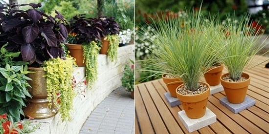 Pflanzgefäße Blumen Terrasse gestalten Ideen
