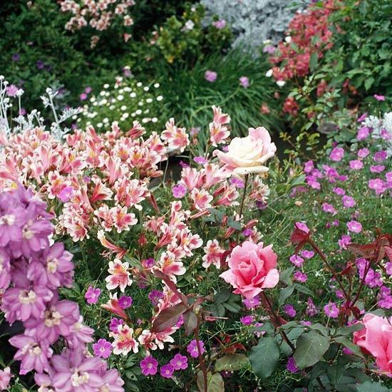 Schöne Blumen Blütender-Garten gestalten