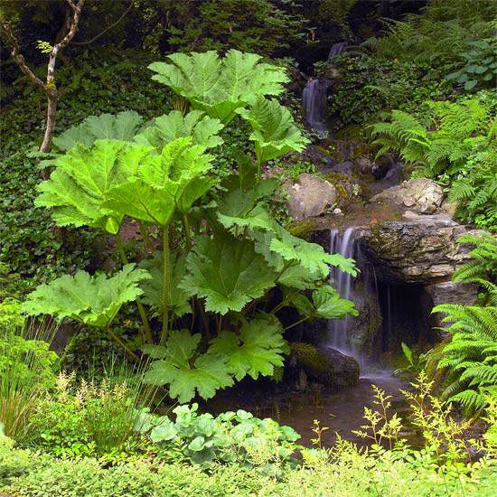 Wasserfall Garten Teich 