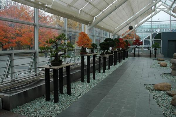 bonsai-museum-brooklyn-botanischer-garten