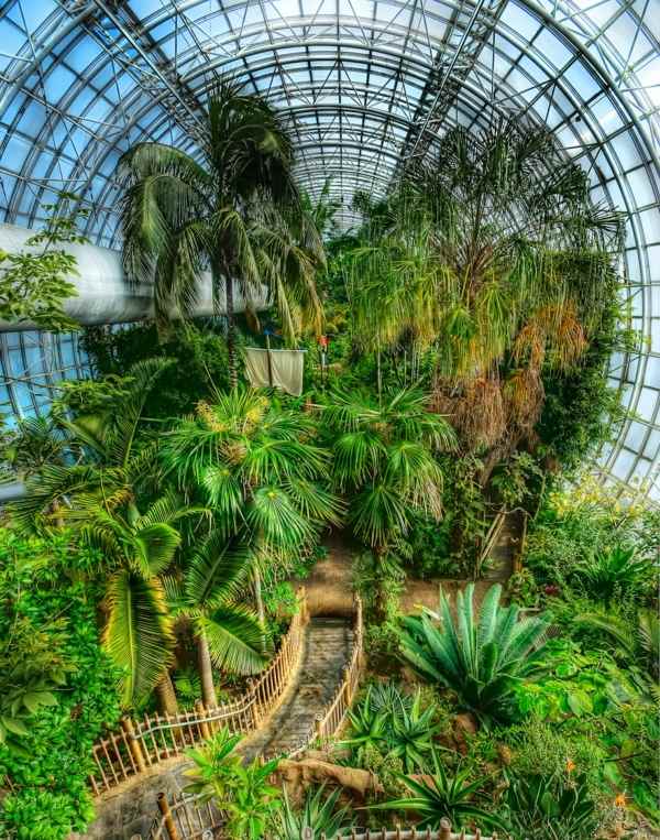 botanischer Garten-Glashaus