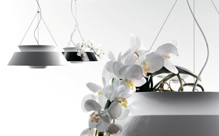 einzigartiges-leuchten-design-kombiniert-lampe-und-blumentopf-orchidee