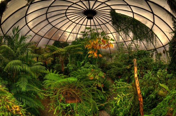 exotische Pflanzen-Glashaus