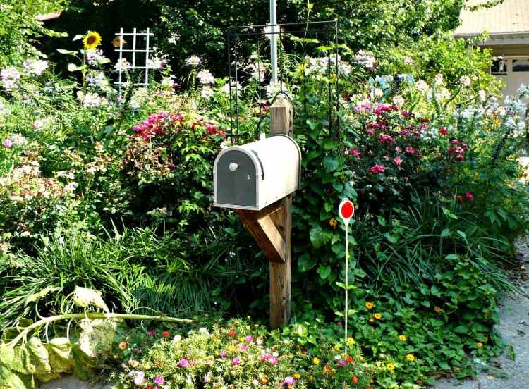 gartengestaltung-landhausstil-postbox-sonnenblumen-ueppig-bodendecker-zierpflanzen