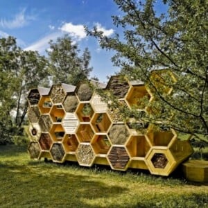 holz-pavillon-mit-wabenform-hexagonal