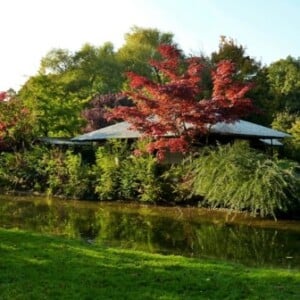 japanisches Teehaus-München Park