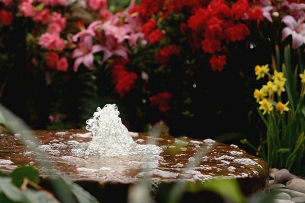 schöner Springbrunnen Garten Blumen