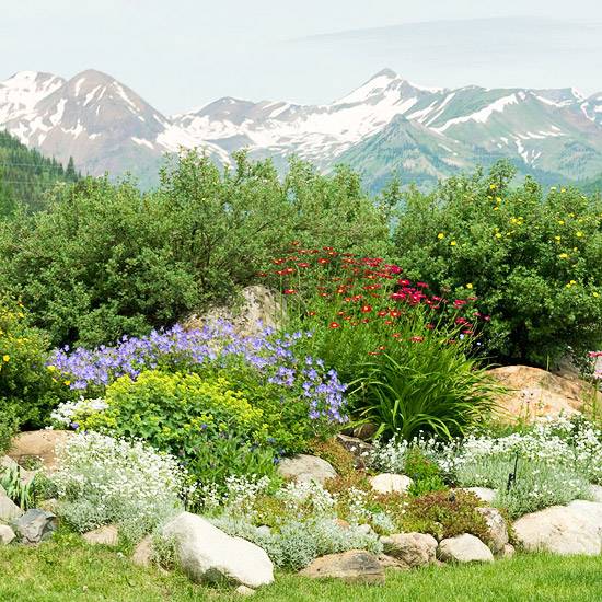 Alpiner Garten Gestaltung-Gartenplanung Ideen