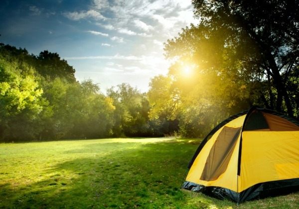 Camping Wiese Wald Sommer Urlaub 