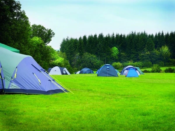 Campingplatz Wald Campingurlaub planen vorbereiten