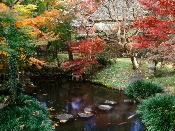 Elemente Japanischer Garten Wasser