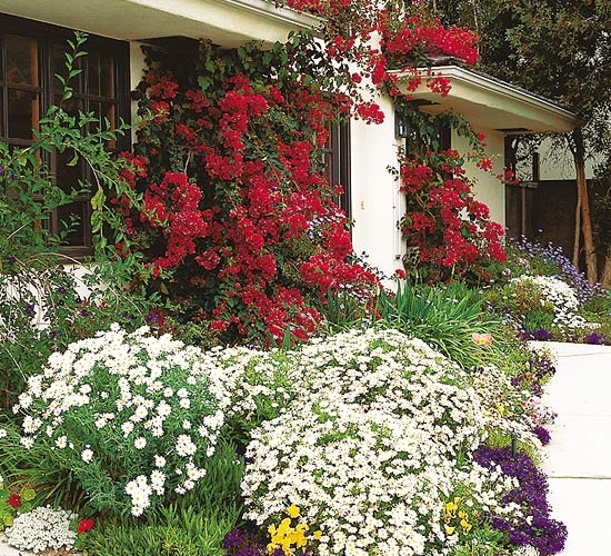 Garten Gestaltung Drillingsblumen rot weiße Gänseblumchen