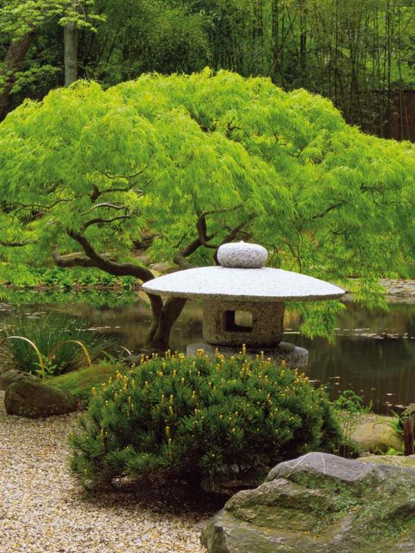 Garten Gestaltung japanischer Stil Bonsai 