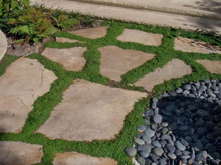 Gartenweg anlegen steinplatten-unkraut-wachsen-lassen