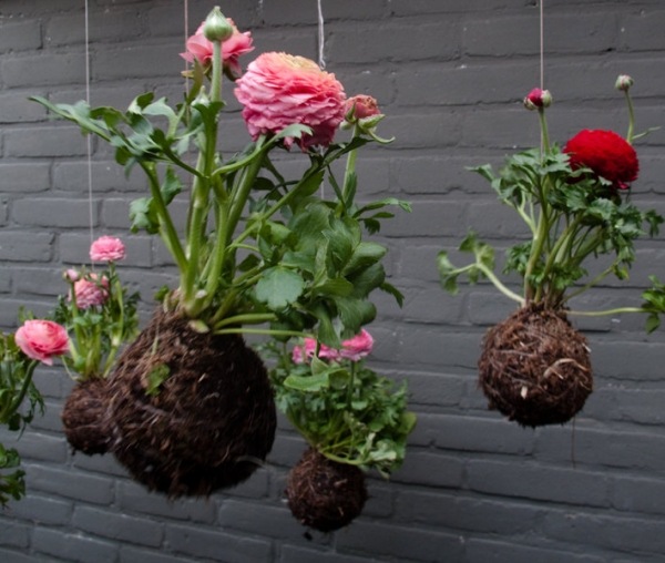 Gestaltung Tipps Hängende-Blumen Garten
