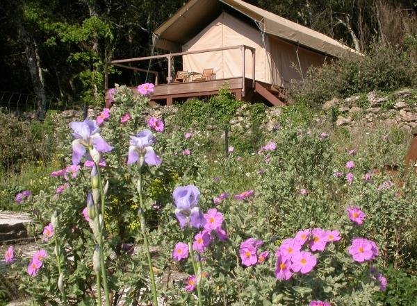 Glamping Languedoc-Roussillon Frankreich Reisetrend