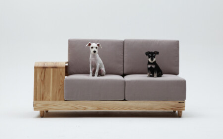 Hund Sofa Design Ideen