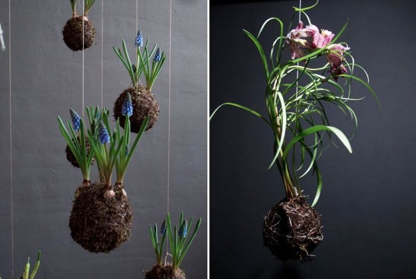 Hängekorb Blumen Gestaltung-Ideen Indoor Garten