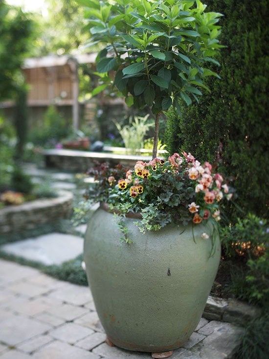Keramik Blumentöpfe Sichtschutz Garten 