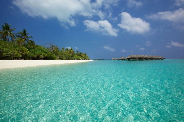Malediven Insel-blaues Meer 