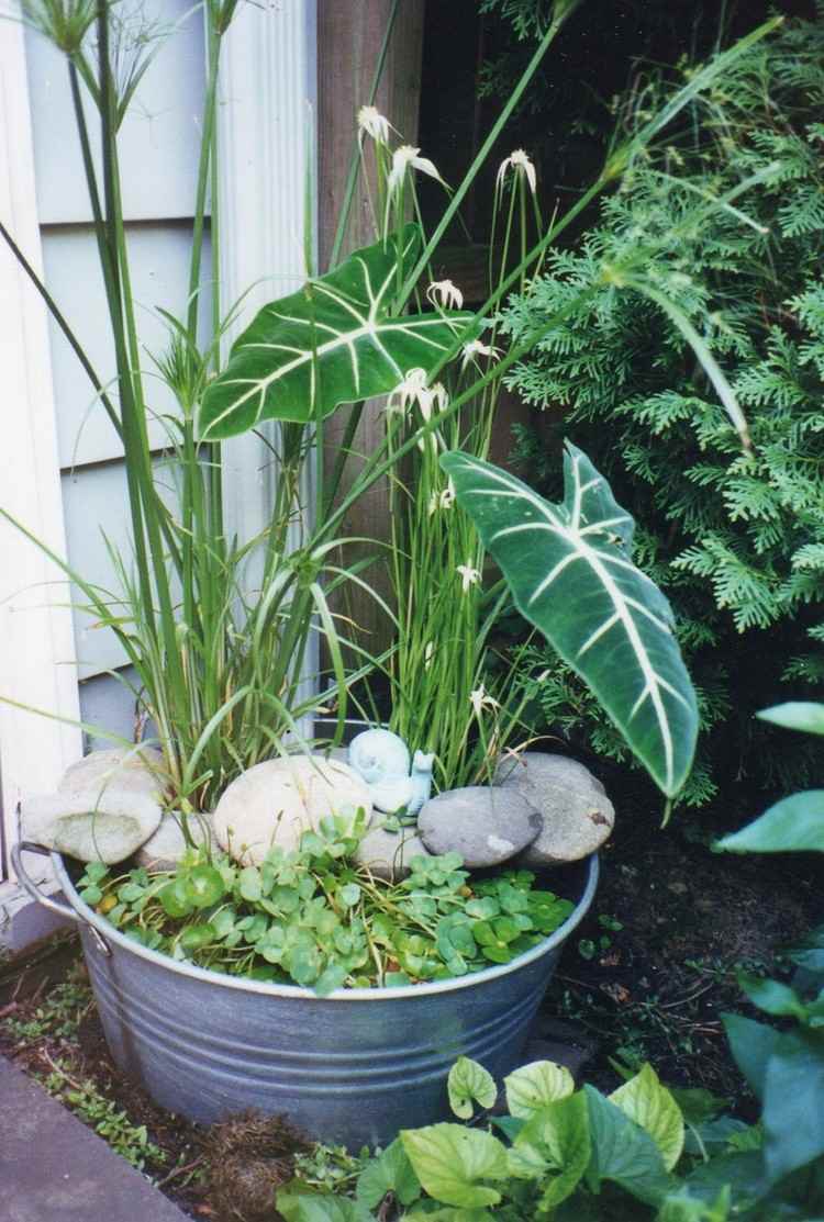 Mini Gartenteich zinn-eimer-steine-pflanzen