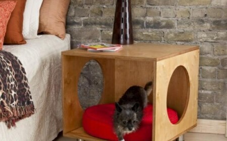 Nachttisch Hundebett-kreative Design Ideen