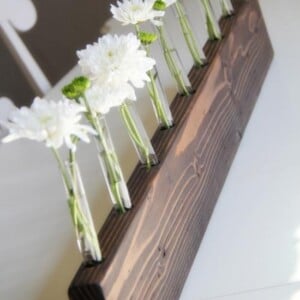 Reagenzglas Blumenvase-Holzgestell