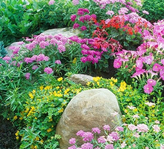 Regeln-attraktive-Gartengestaltung-farben-blumen-wiederholen-lila-töne