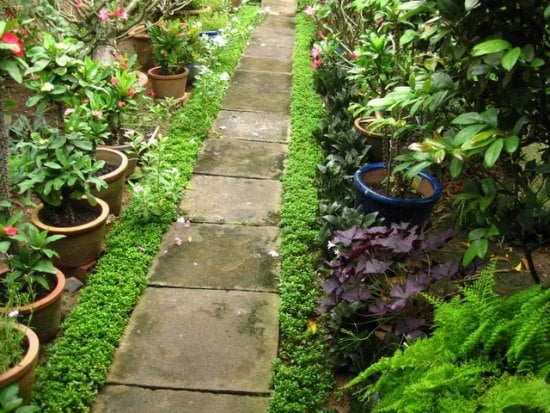 Steinplatten verlegen Rasenfläche Garten Design