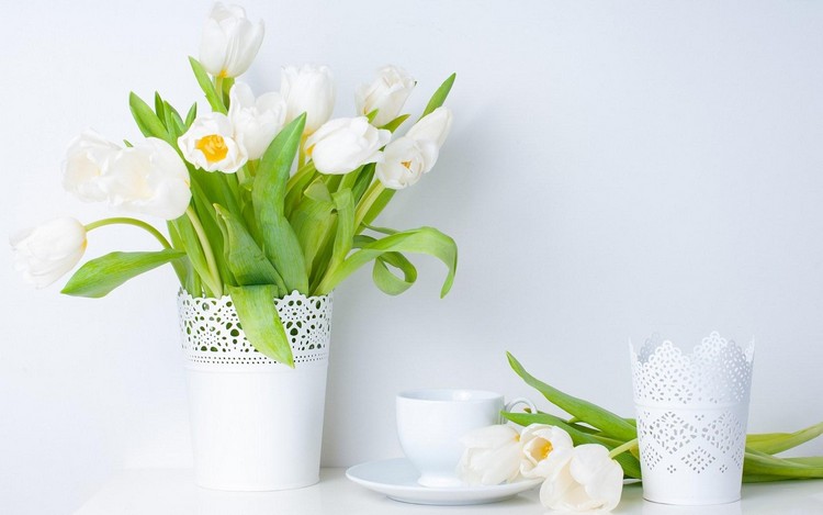 Blumen Deko für den Frühling weisse-tulpen-ikea-uebertopf-spitze