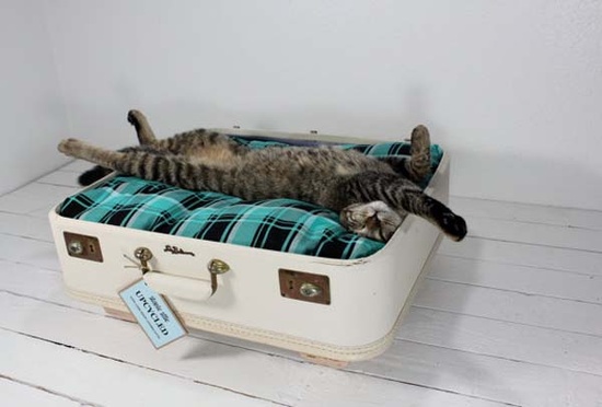 deko ideen für den alten koffer haus katzenbett machen