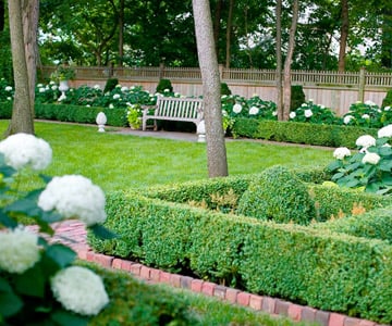 formale gärten planen layout buchsbaumhecken hortensien