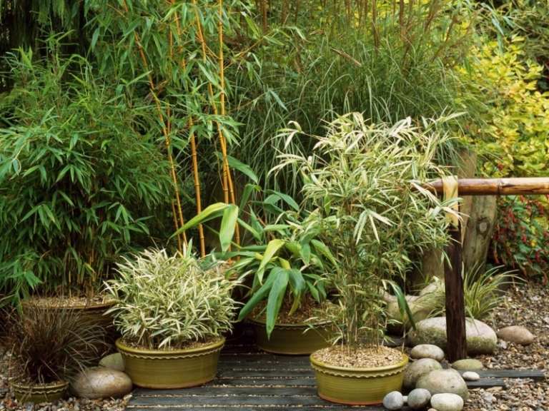 garten anlegen blumentoepfe japanisch bambus steine tropisch design