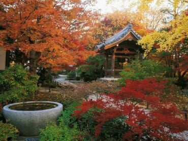 garten anlegen japanisch design rot blaetter brunnen