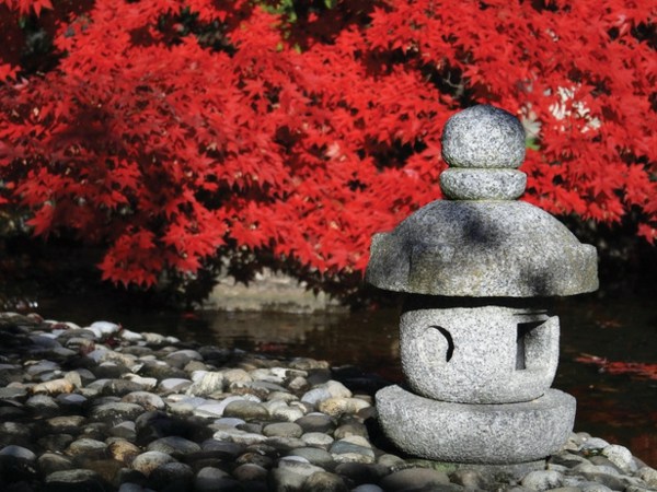 japanischer Garten anlegen-Stein 