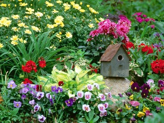 kleines Vogelhaus Garten Blumen