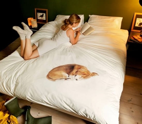 lustige coole Bettwäsche Designs Tiere 