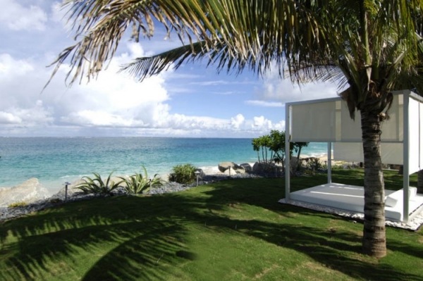 luxus villa in der karibik exotische palme
