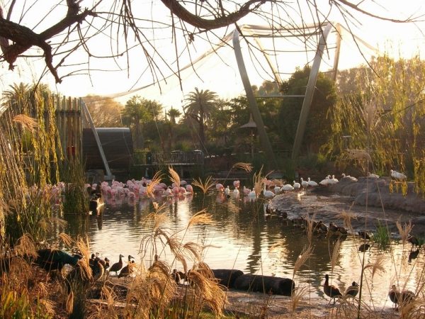 biopark in argentinien mit modernem design flamingos