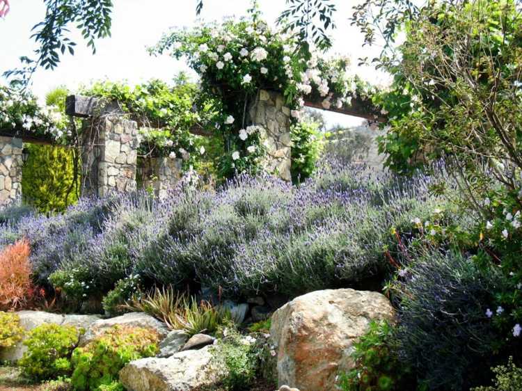 steingarten anlegen lavendel hang gestaltung steine gross