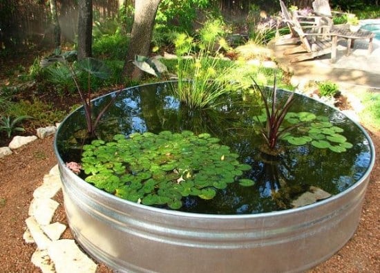 teich eimer wassergarten zum selbermachen metallbehälter